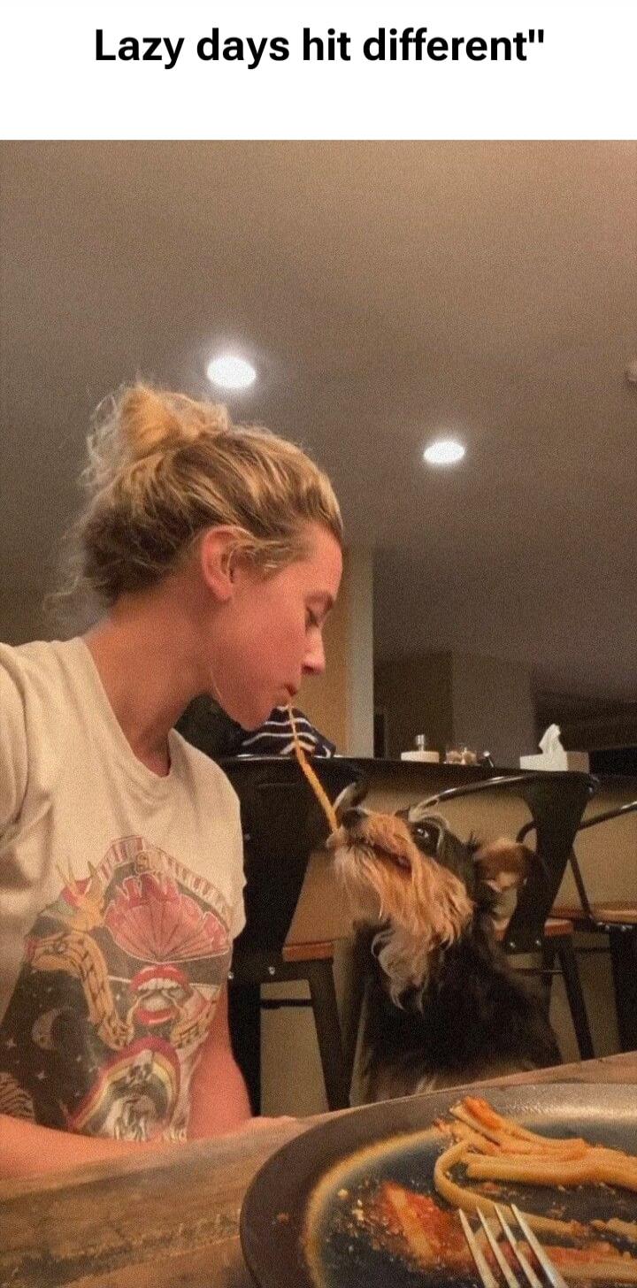 Lazy days hit different. A person is sharing spaghetti with a small dog, who is eagerly eating it from their mouth.