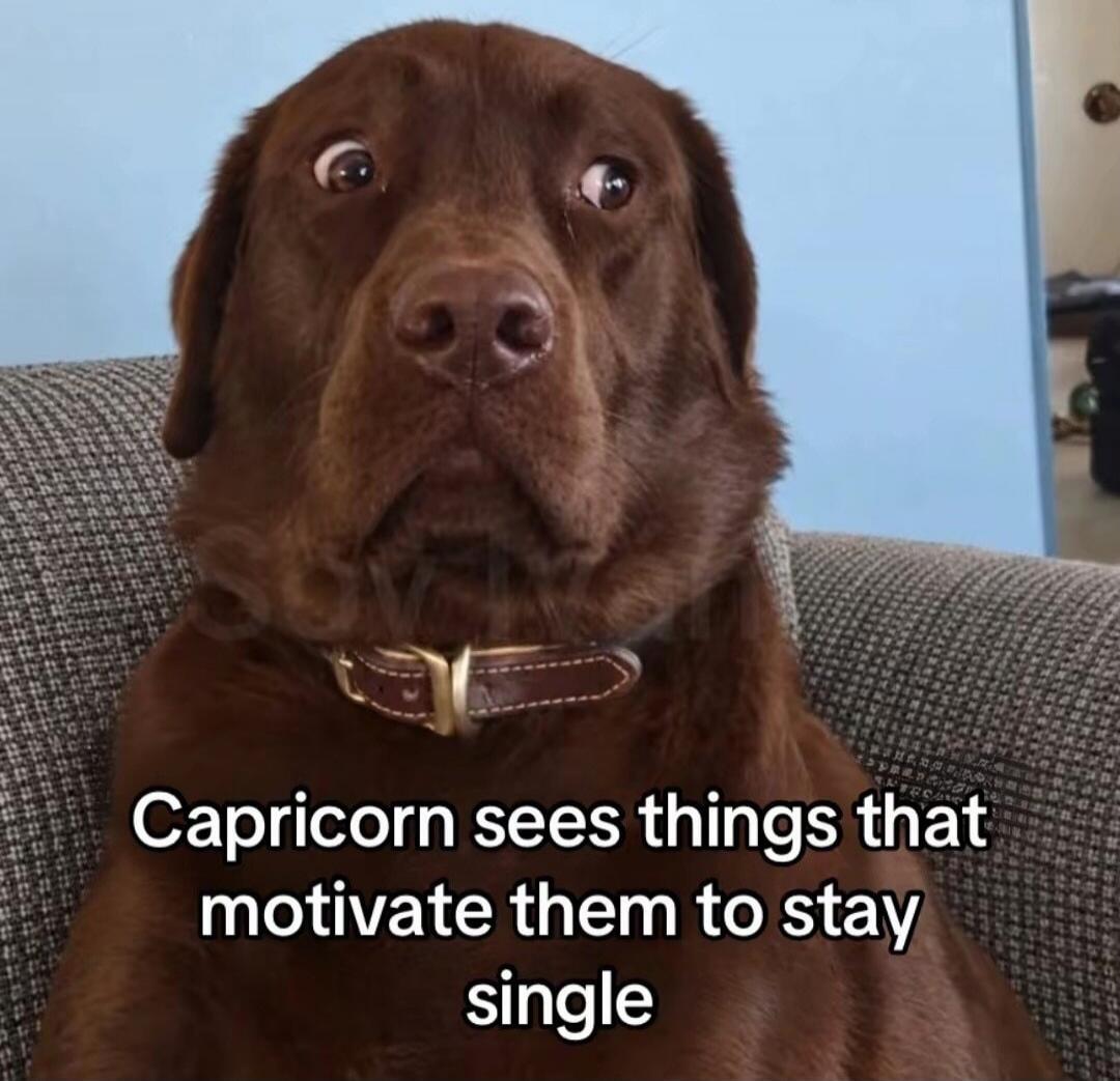 Capricorn sees things that motivate them to stay single