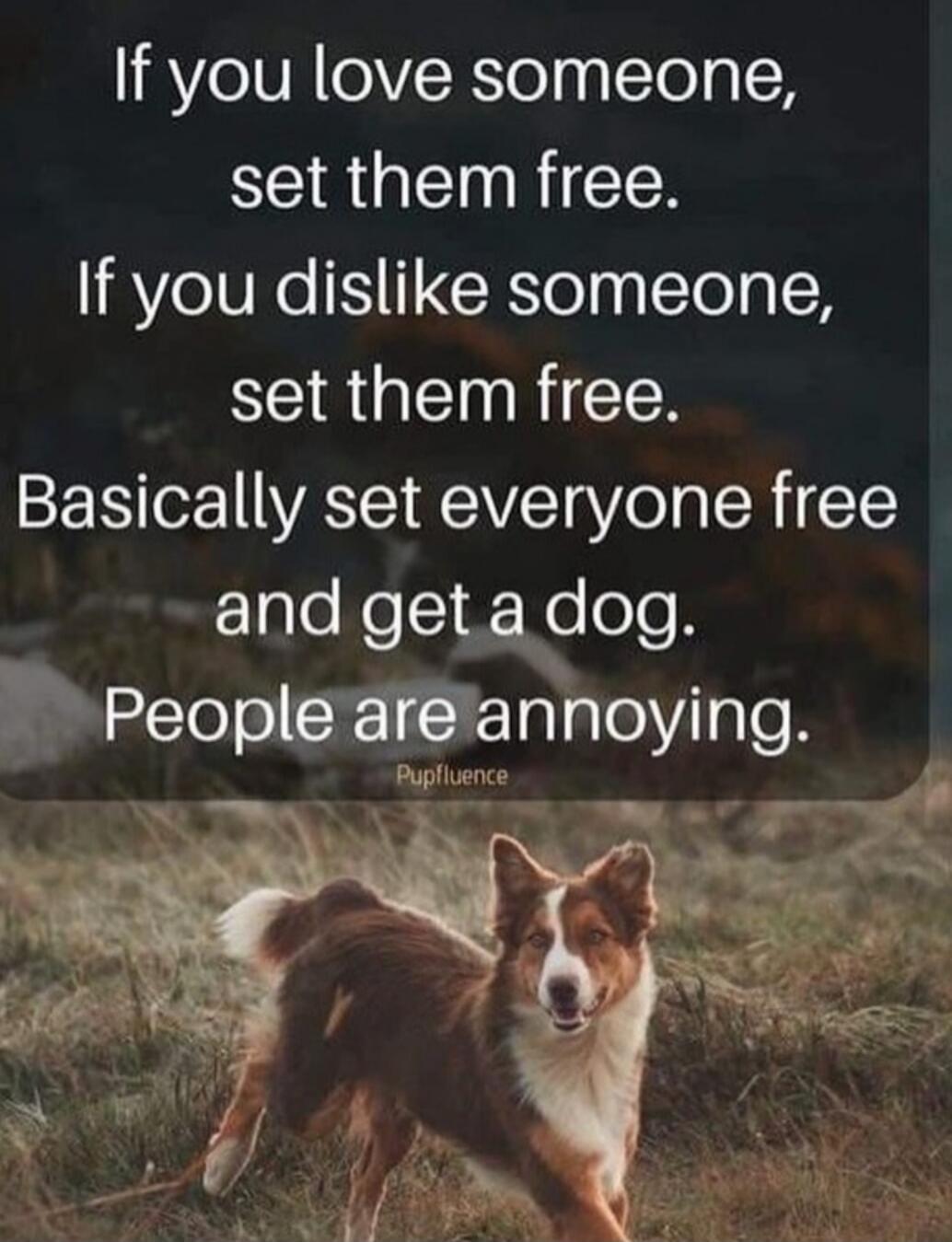 If you love someone, set them free. If you dislike someone, set them free. Basically set everyone free and get a dog. People are annoying. Pupfluence
