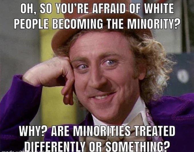 OH SONVOURE AFRRID OF WHITE PEOPLEBECOMING THE MINORITY2 e e S e A WHY2 ARE MINTIITIESTREIlTED DIFFERENTLY ORSOMETHING