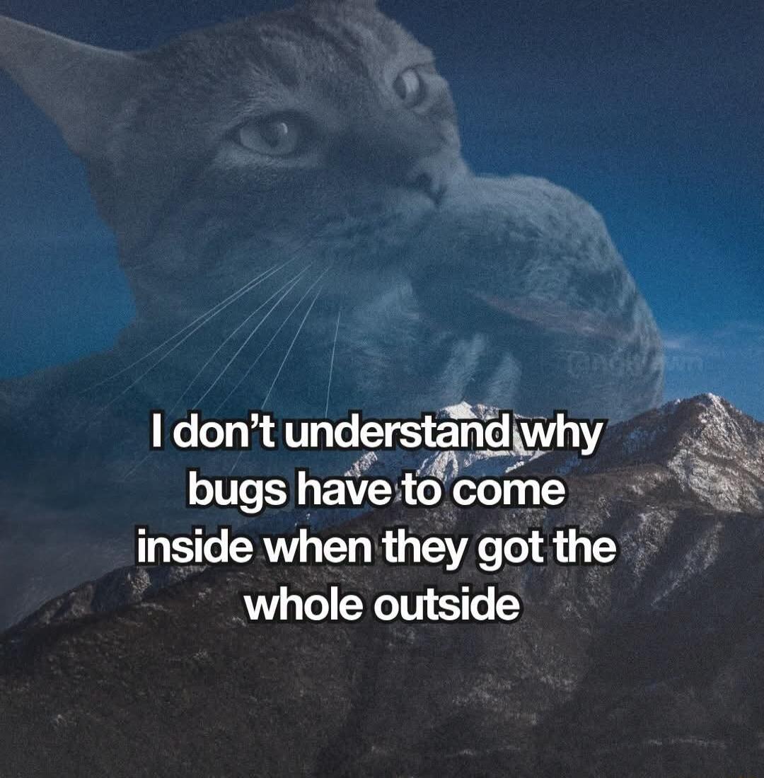 I don't understand why bugs have to come inside when they got the whole outside