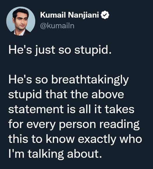 OTET R EYETTE kumailn Hes just so stupid Hes so breathtakingly stupid that the above statement is all it takes for every person reading Lo TE0 ol g oWANETe1 ATY gTo Im talking about