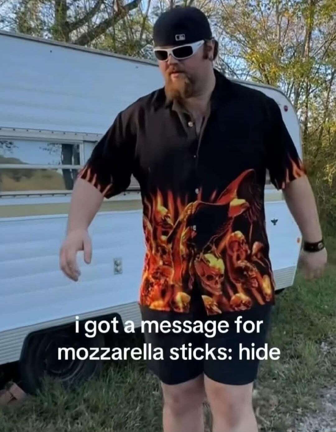 i got a message for mozzarella sticks: hide