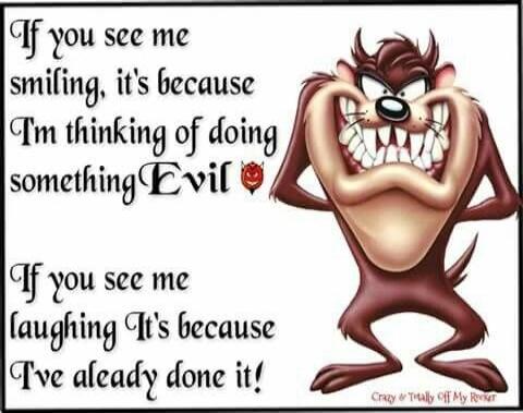 If you see me smiling, it's because I'm thinking of doing something Evil
If you see me laughing It's because I've already done it!