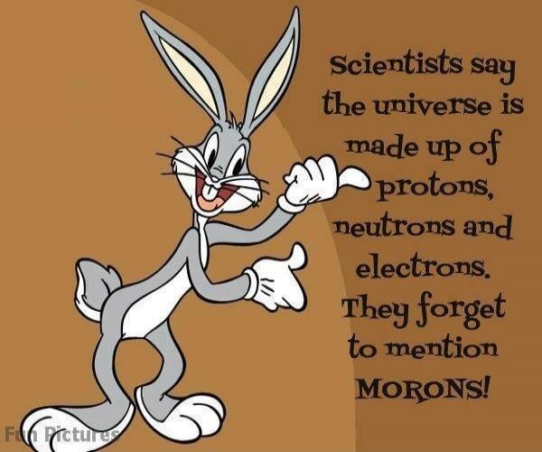 Scientists say the universe is made up of protons, neutrons and electrons. They forget to mention MORONS!