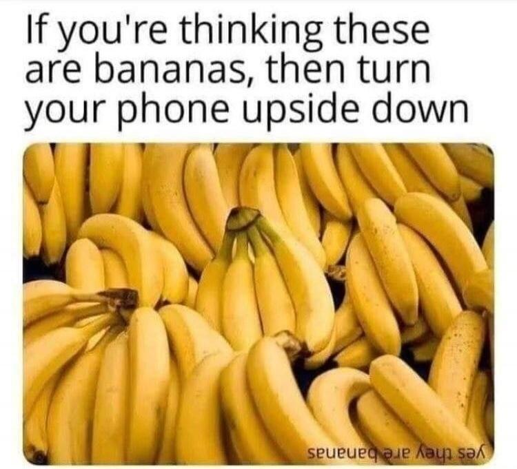 If you're thinking these are bananas, then turn your phone upside down. Yes they are bananas.
