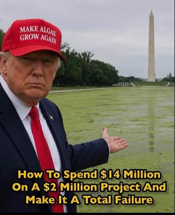 MAKE ALGAE GROW AGAIN How To Spend $14 Million On A $2 Million Project And Make It A Total Failure