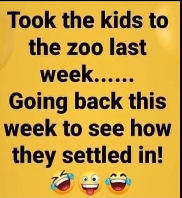 Took the kids to the zoo last week....... Going back this week to see how they settled in!