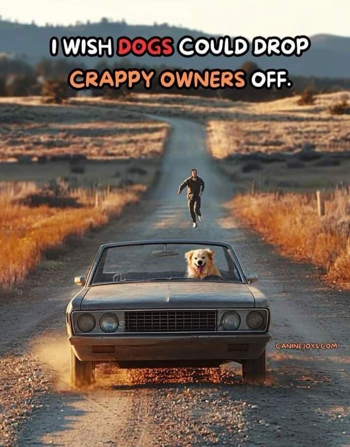 I WISH DOGS COULD DROP CRAPPY OWNERS OFF. CANINEJOYS.COM