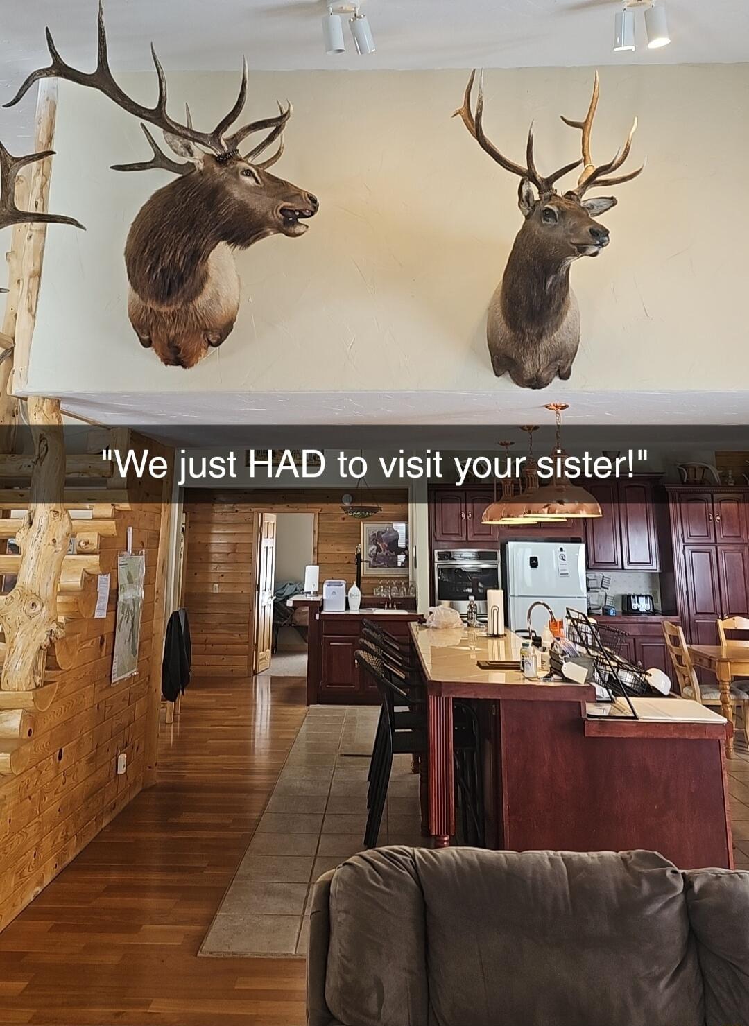 We just HAD to visit your sister JIRET