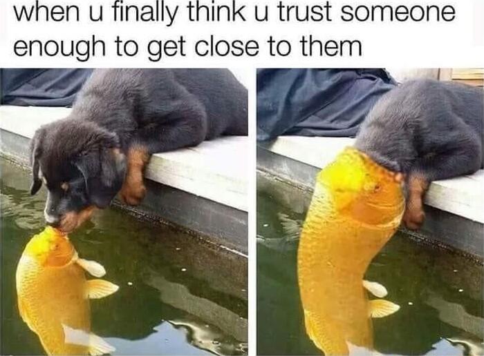 when u finally think u trust someone enough to get close to them