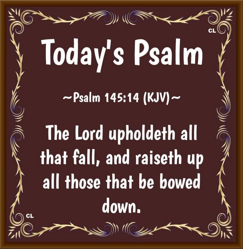 Today's Psalm ~Psalm 145:14 (KJV)~ The Lord upholdeth all that fall, and raiseth up all those that be bowed down.