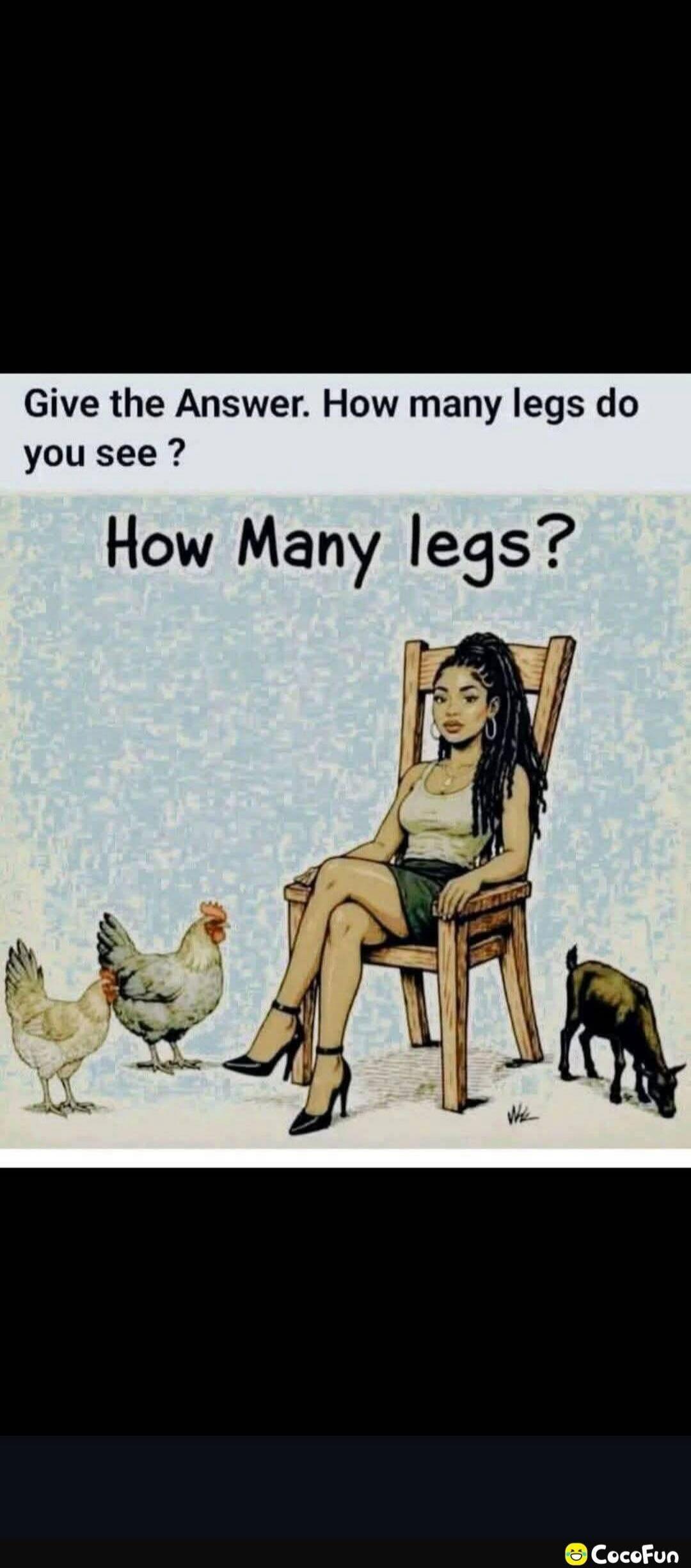 Give the Answer. How many legs do you see? How Many legs?