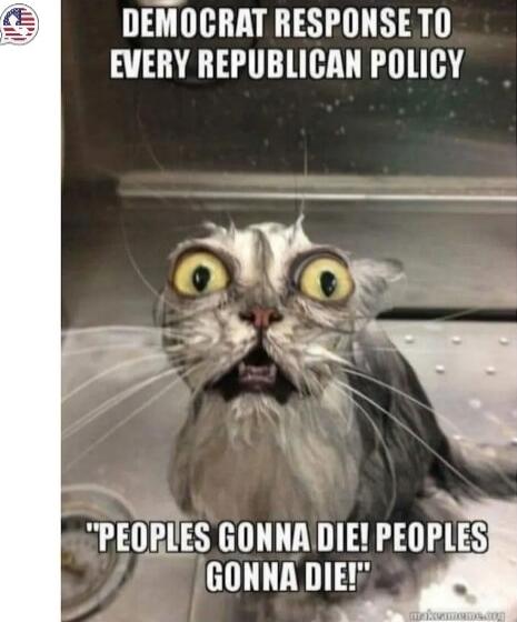 DEMOCRAT RESPONSE TO EVERY REPUBLICAN POLICY
