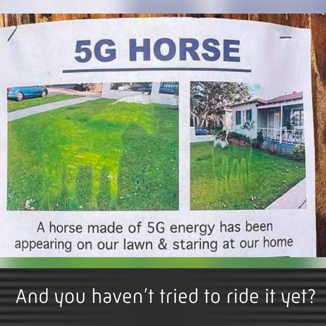 _ x A A horse made of 5G energy has been appearing on our lawn staring at our home And you havent tried to ride it yet