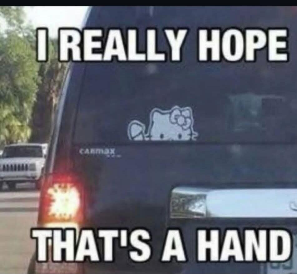 I REALLY HOPE THAT'S A HAND