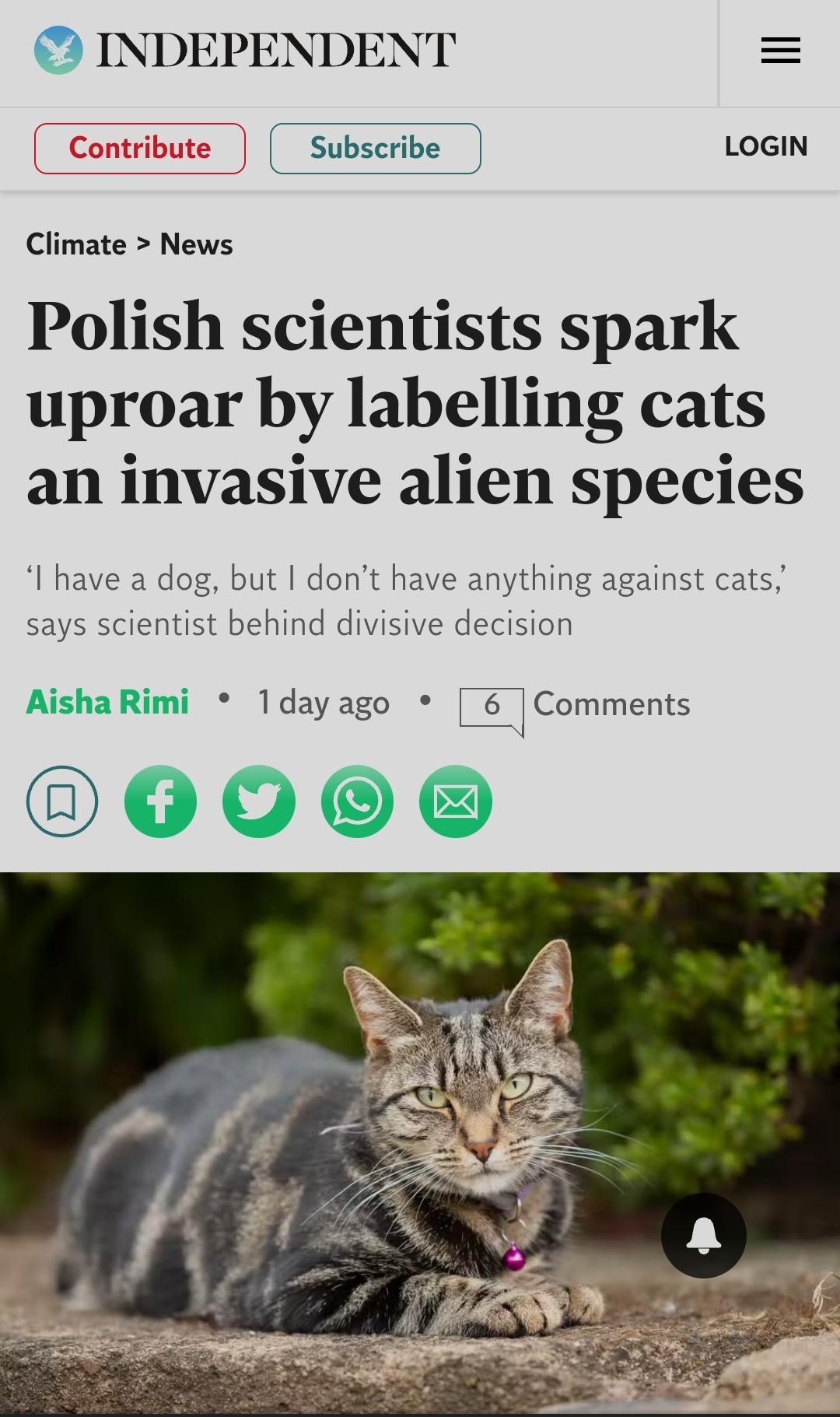 1220 3 28KBs Z all 48 wwwindependentcoukclimate cha INDEPENDENT Subscribe LOGIN Climate News Polish scientists spark uproar by labelling cats an invasive alien species I have a dog but dont have anything against cats says scientist behind divisive decision AishaRimi 1dayago 6 Comments 000