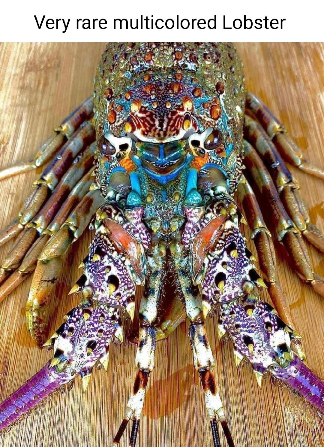 9 2 7 a s a o o o 3 3 1S o o o 9