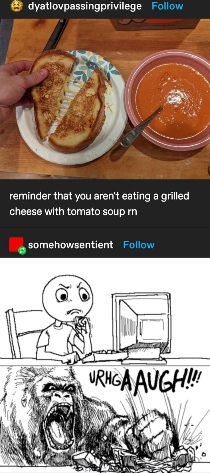 dyatlovpassingprivilege Follow reminder that you arent eating a grilled cheese with tomato soup rn somehowsentient Follow