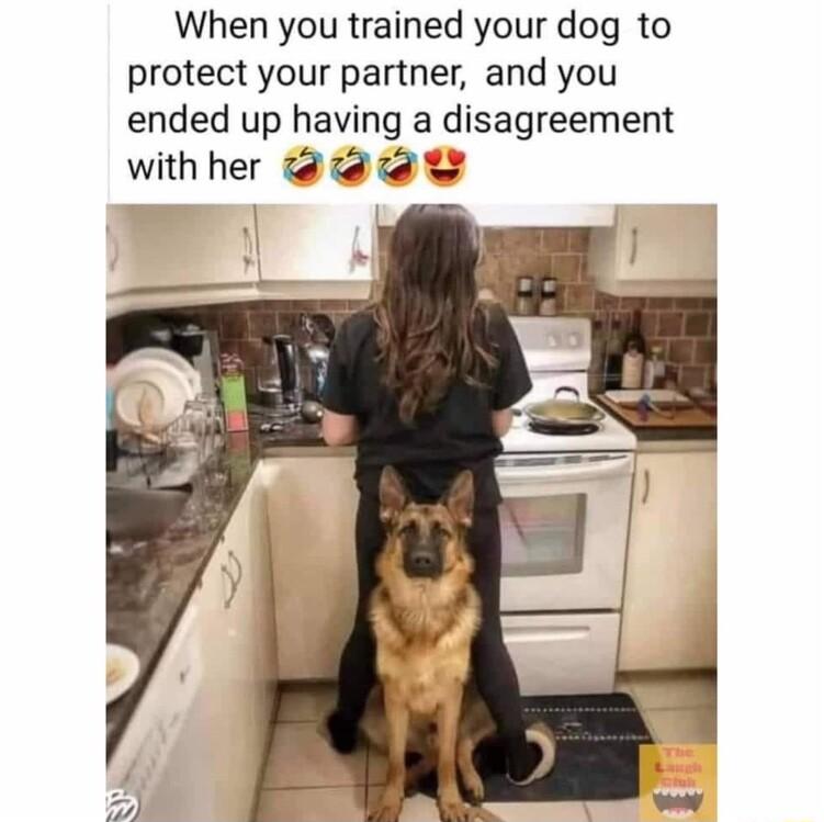 When you trained your dog to protect your partner and you ended up having a disagreement with her