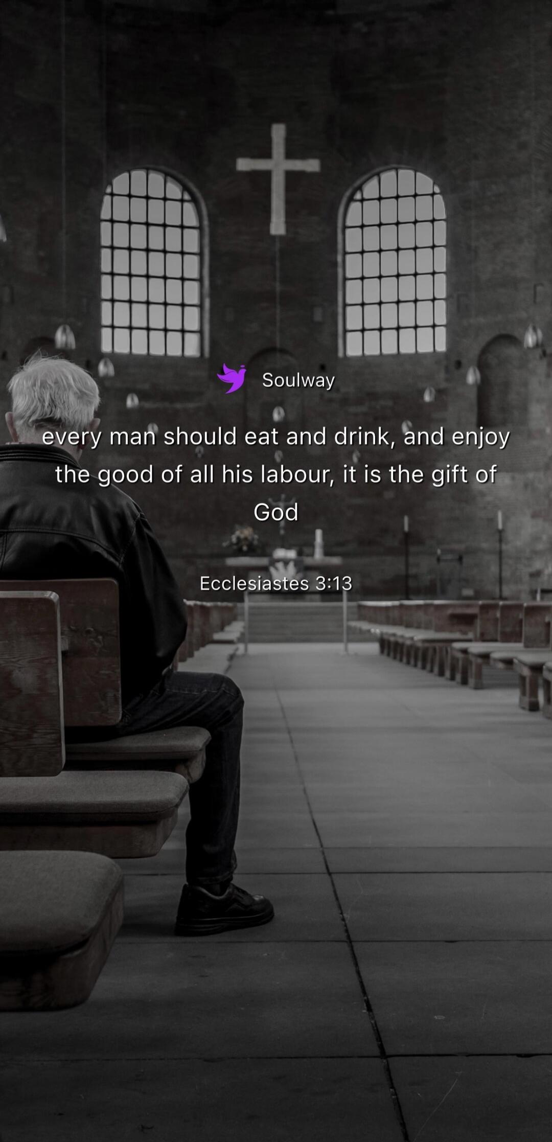 Soulway every man should eat and drink, and enjoy the good of all his labour, it is the gift of God Ecclesiastes 3:13