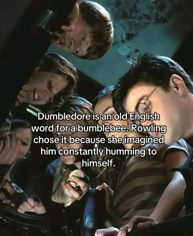 Dumbledore is an old English word for a bumblebee. Rowling chose it because she imagined him constantly humming to himself.
