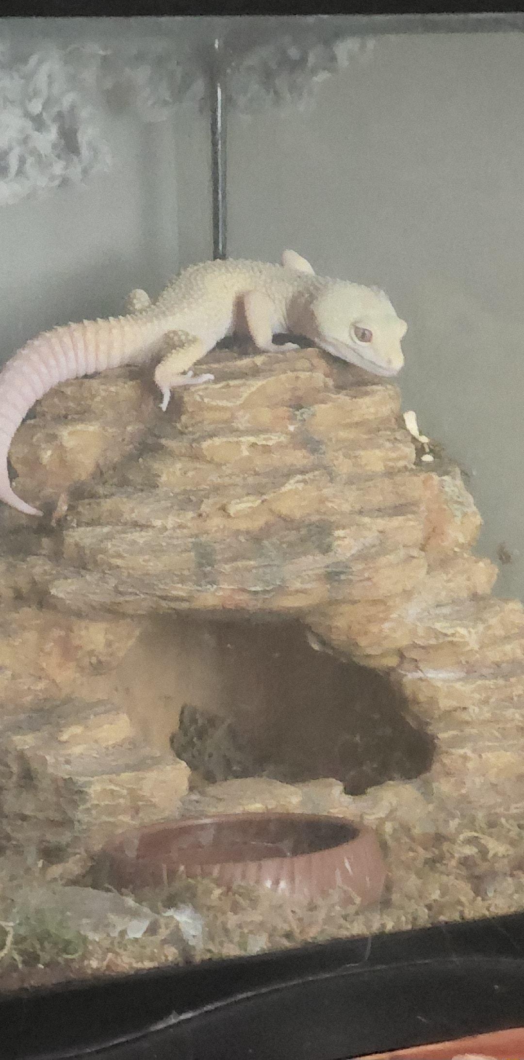 Streaming some tarkov on twitchtvbradmoon if anyone wants to stop by Or dont really dont care Retards