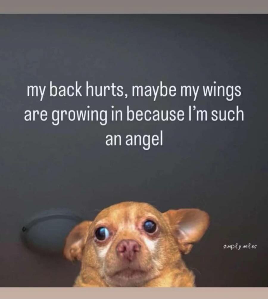 my back hurts, maybe my wings are growing in because I'm such an angel