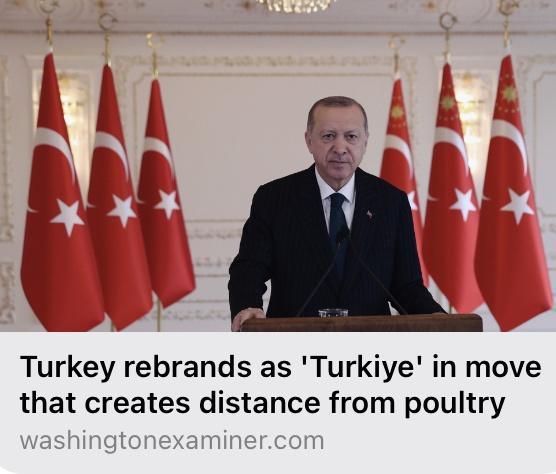 Turkey rebrands as Turkiye in move that creates distance from poultry