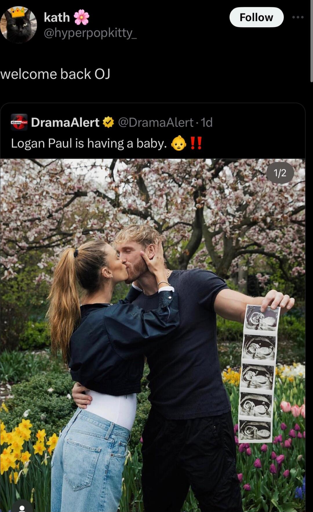 T e hyperpopkitty welcome back OJ DramaAlert DramaAlert 1d Logan Paul is having a baby o