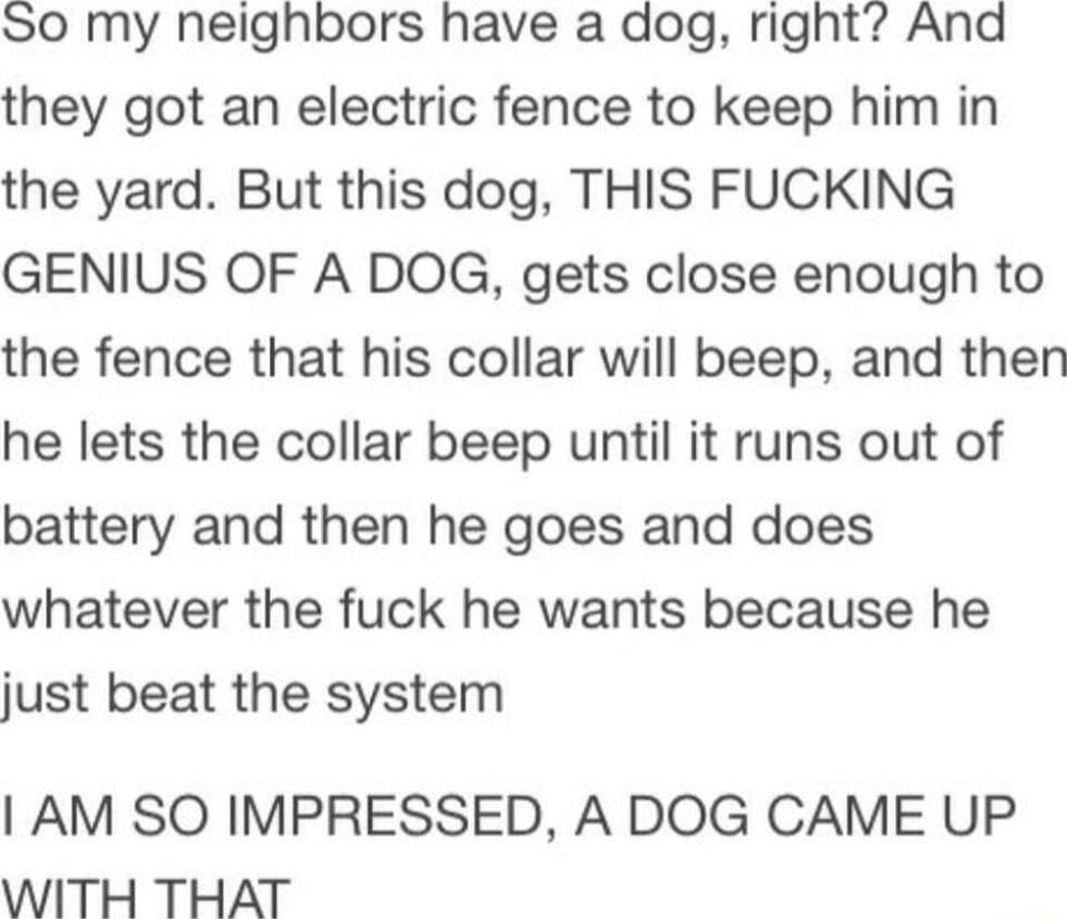 SO0 my neighbors have a dog right And they got an electric fence to keep him in the yard But this dog THIS FUCKING GENIUS OF A DOG gets close enough to the fence that his collar will beep and then he lets the collar beep until it runs out of battery and then he goes and does whatever the fuck he wants because he just beat the system AM SO IMPRESSED A DOG CAME UP WITH THAT