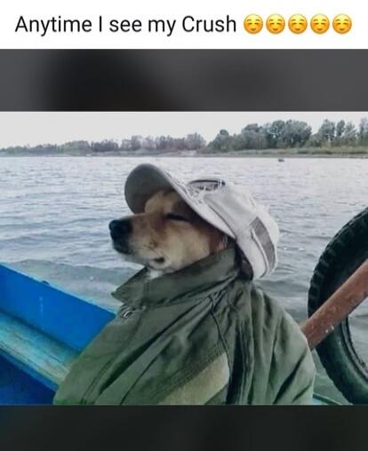 Anytime I see my Crush 🥰🥰🥰🥰🥰