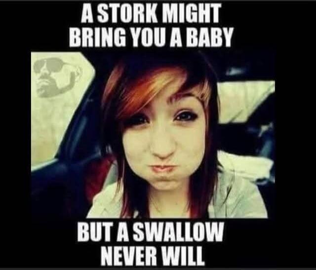 A STORK MIGHT BRING YOU A BABY BUT A SWALLOW NEVER WILL