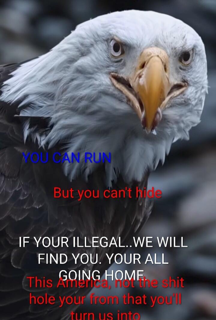YOU CAN RUN But you can't hide IF YOUR ILLEGAL..WE WILL FIND YOU. YOUR ALL GOING HOME. This America, not the shit hole your from that you'll turn us into
