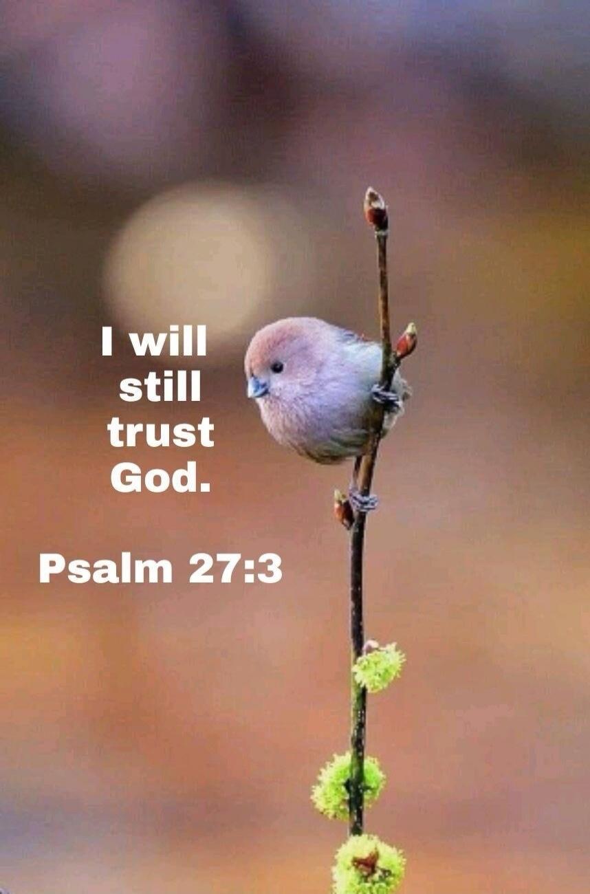 I will still trust God. Psalm 27:3