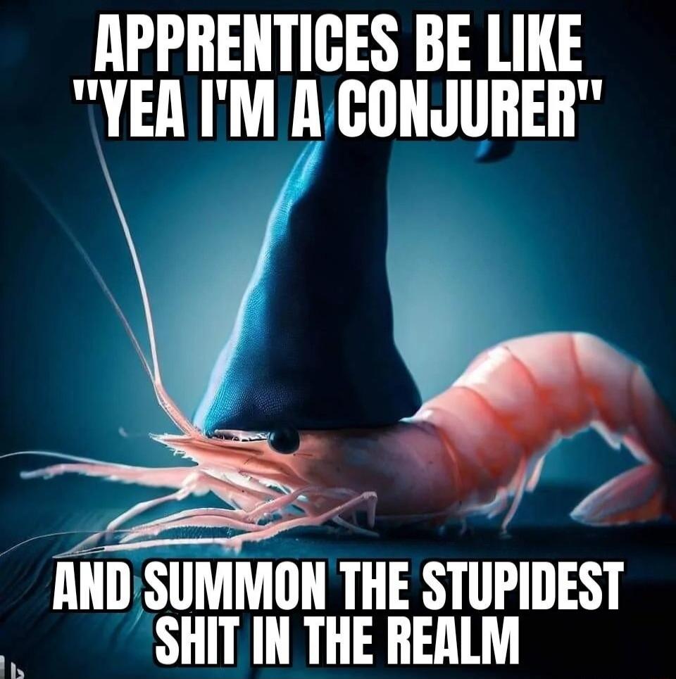 APPRENTIGES BE LIKE YEA IM ACONJURER AND SUMMON THE STUPIDEST SHIT IN THE REALM