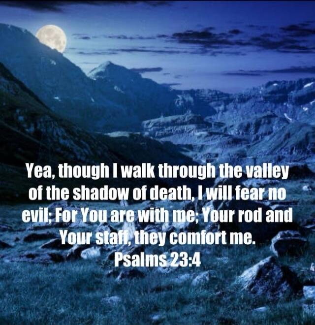 Yea, though I walk through the valley of the shadow of death, I will fear no evil: For You are with me; Your rod and Your staff, they comfort me. Psalms 23:4