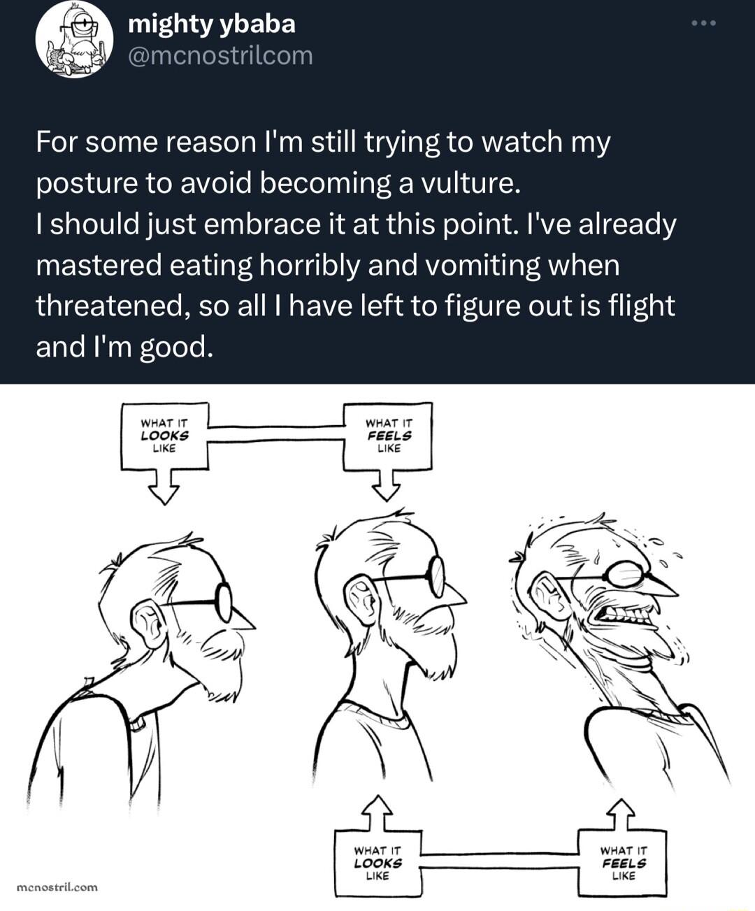 mighty ybaba For some reason Im still trying to watch my posture to avoid becoming a vulture I should just embrace it at this point Ive already mastered eating horribly and vomiting when threatened so all have left to figure out is flight and Im good