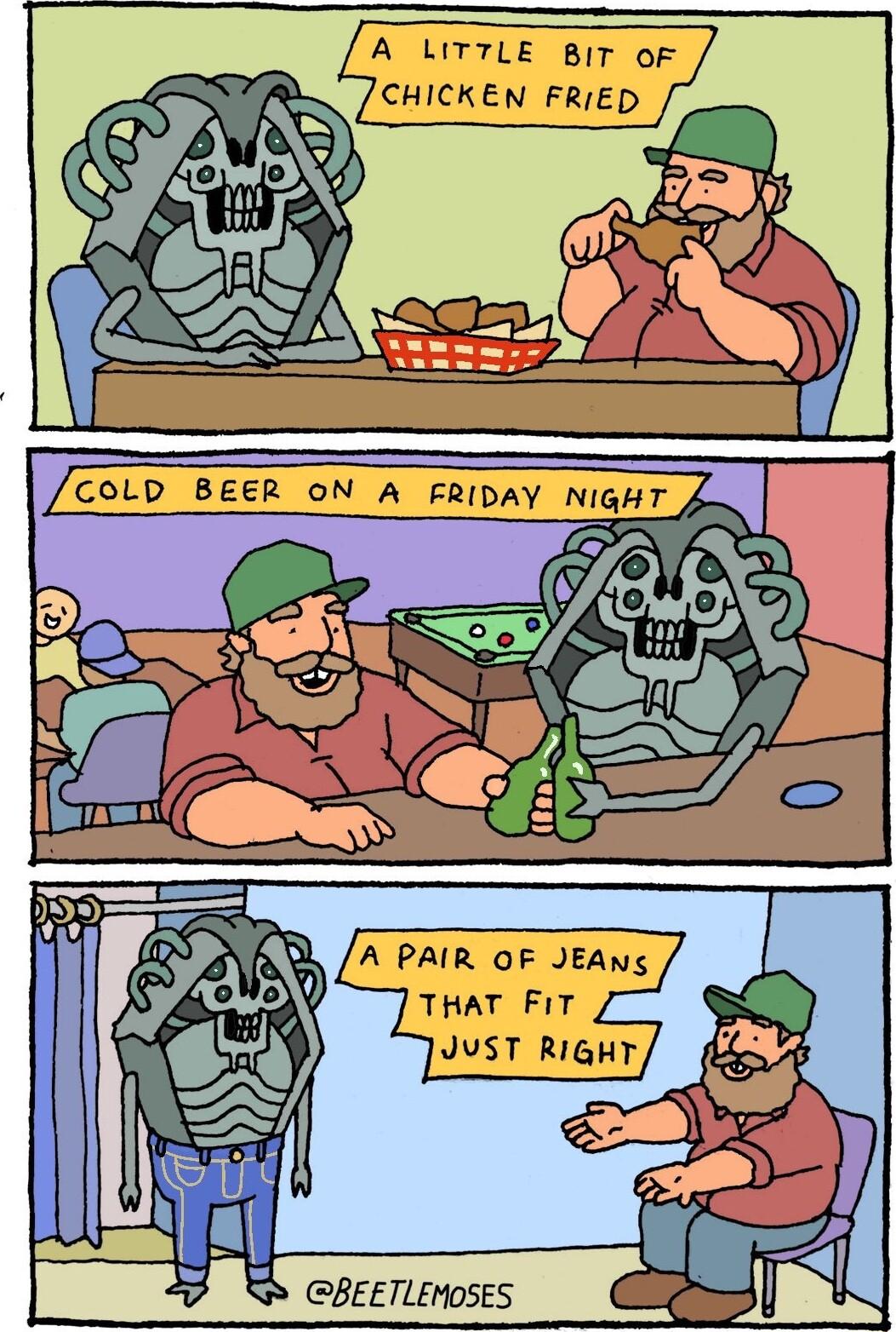 A LITTLE BIT OF CHICKEN FRIED