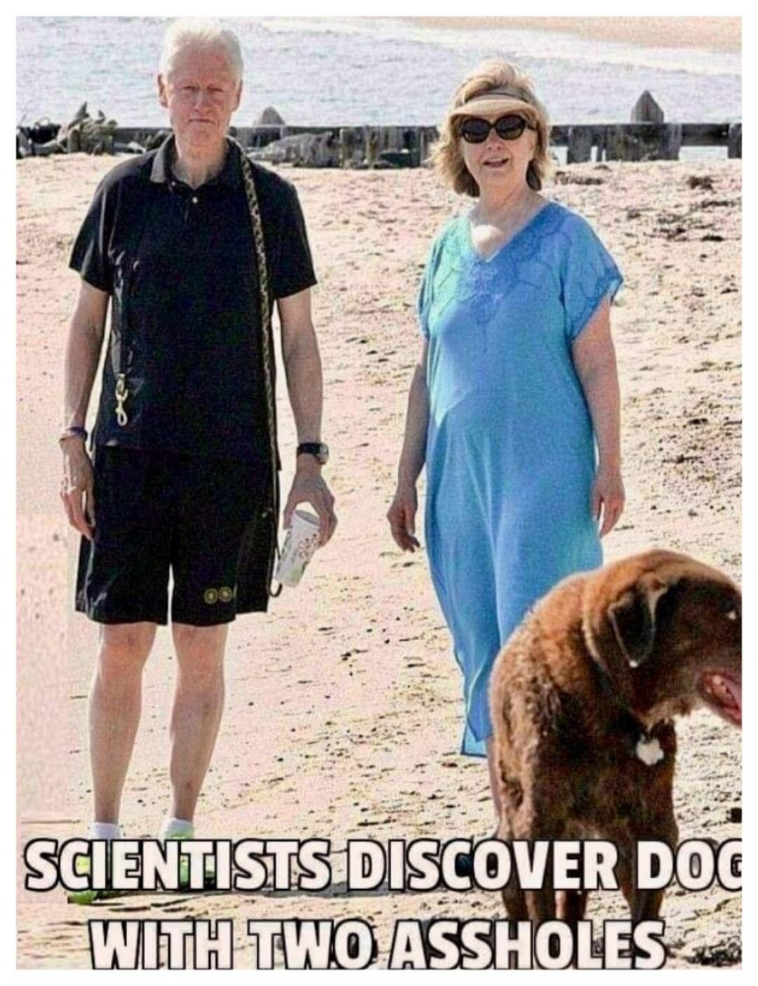 SCIENTISTS DISCOVER DOG WITH TWO ASSHOLES