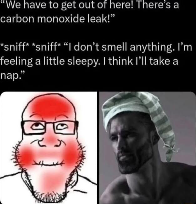 We have to get out of here Theresa carbon monoxide leak sniff sniff I dont smell anything Im CEULEEN AR G LR R EUCE QET