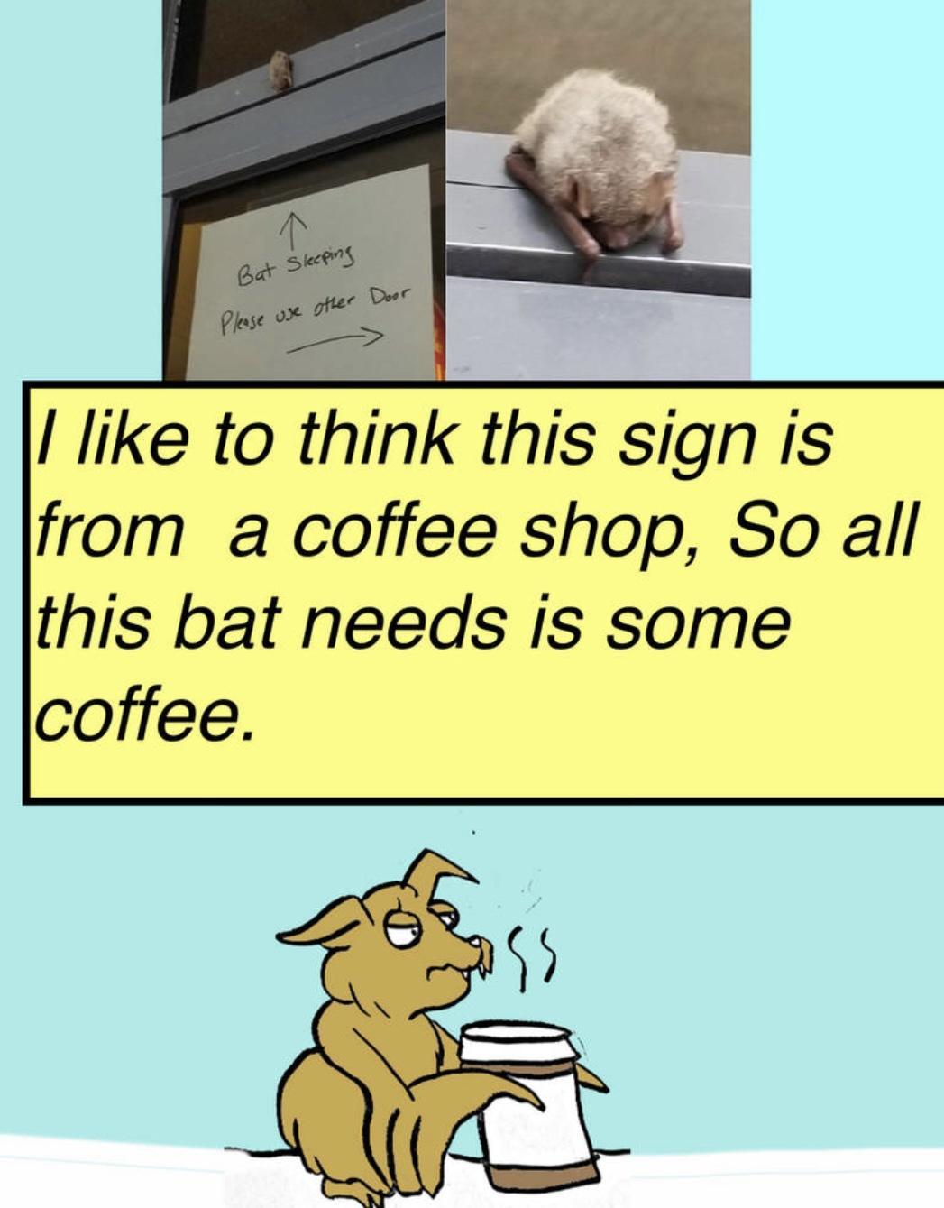 like to think this sign is from a coffee shop So all this bat needs is some