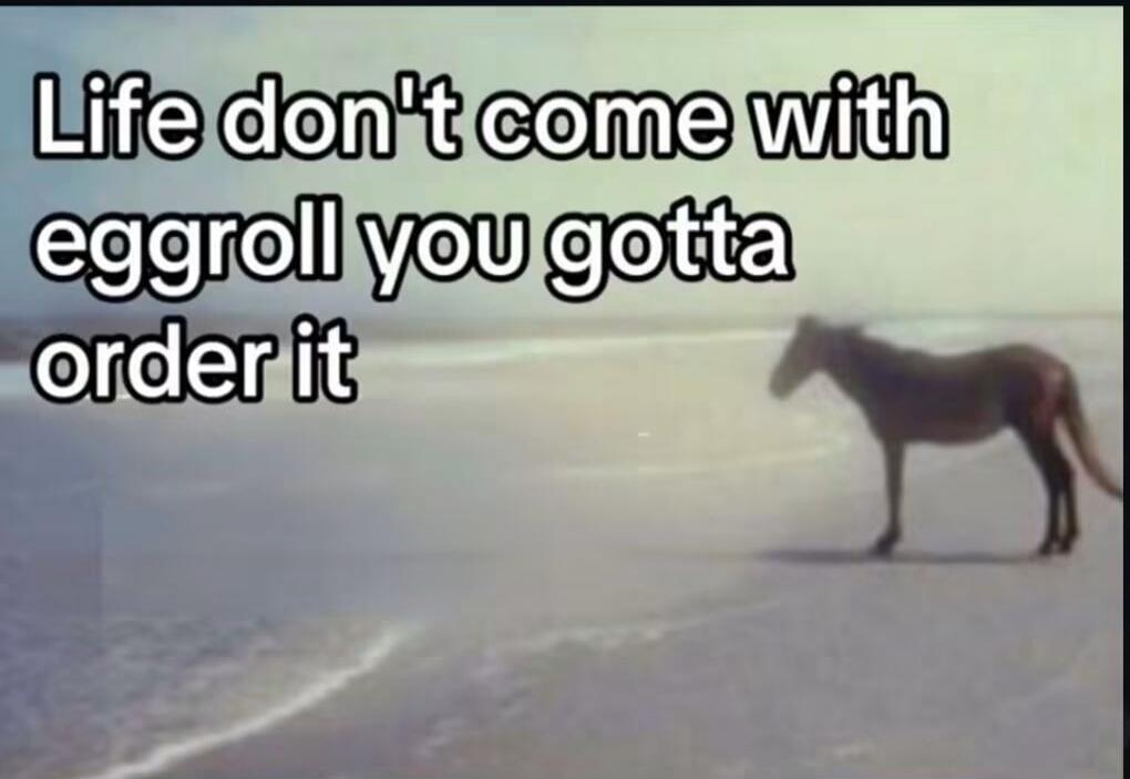 Life don't come with eggroll you gotta order it