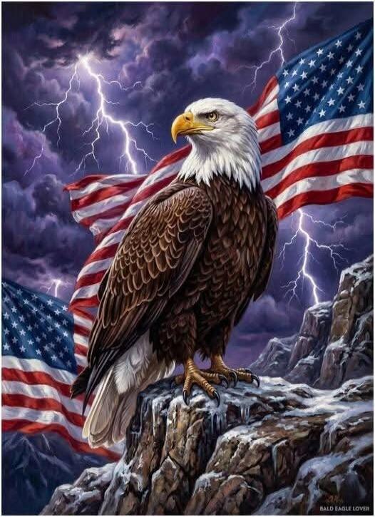 BALD EAGLE LOVER