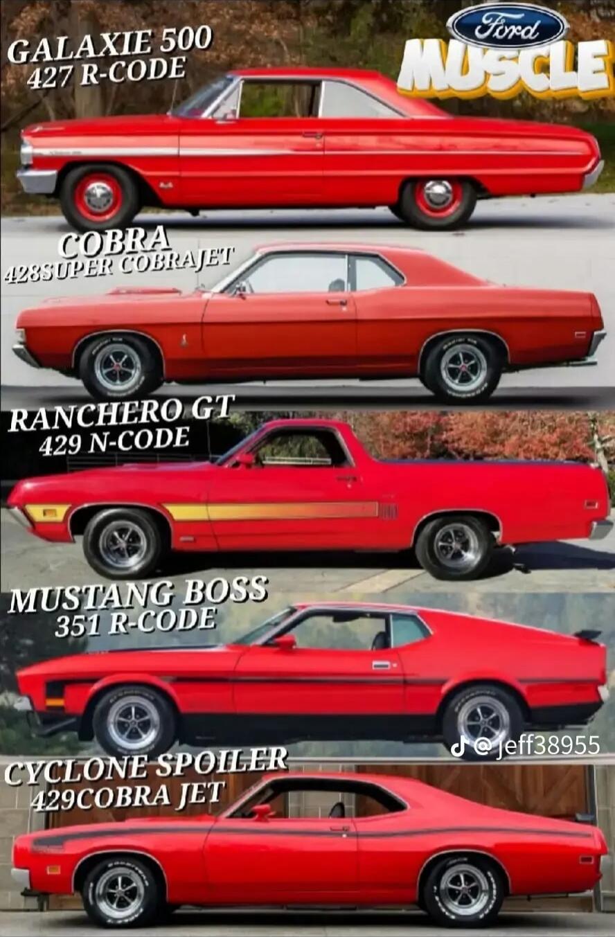 GALAXIE 500 427 R-CODE
COBRA 428 SUPER COBRAJET
RANCHERO GT 429 N-CODE
MUSTANG BOSS 351 R-CODE
CYCLONE SPOILER 429 COBRA JET
