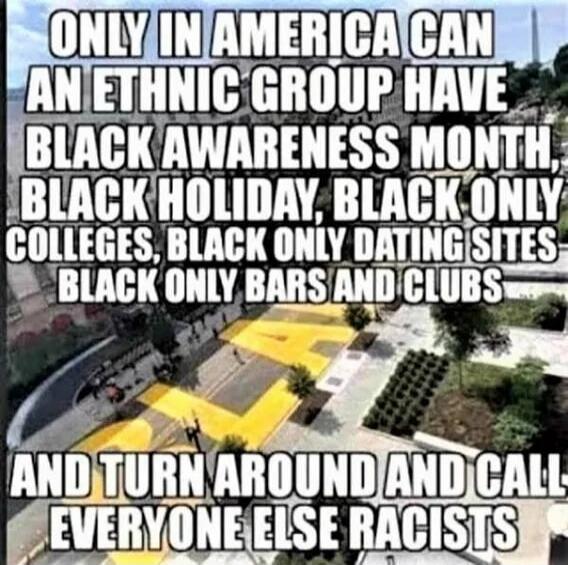 ONLY IN AMERICA CAN AN ETHNIC GROUP HAVE BLACK AWARENESS MONTH, BLACK HOLIDAY, BLACK ONLY COLLEGES, BLACK ONLY DATING SITES BLACK ONLY BARS AND CLUBS AND TURN AROUND AND CALL EVERYONE ELSE RACISTS