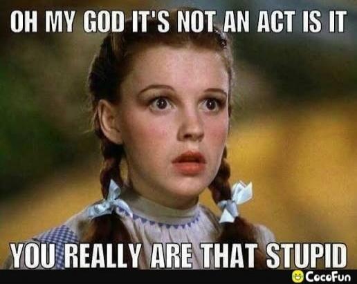 OH MY GOD IT'S NOT AN ACT IS IT YOU REALLY ARE THAT STUPID