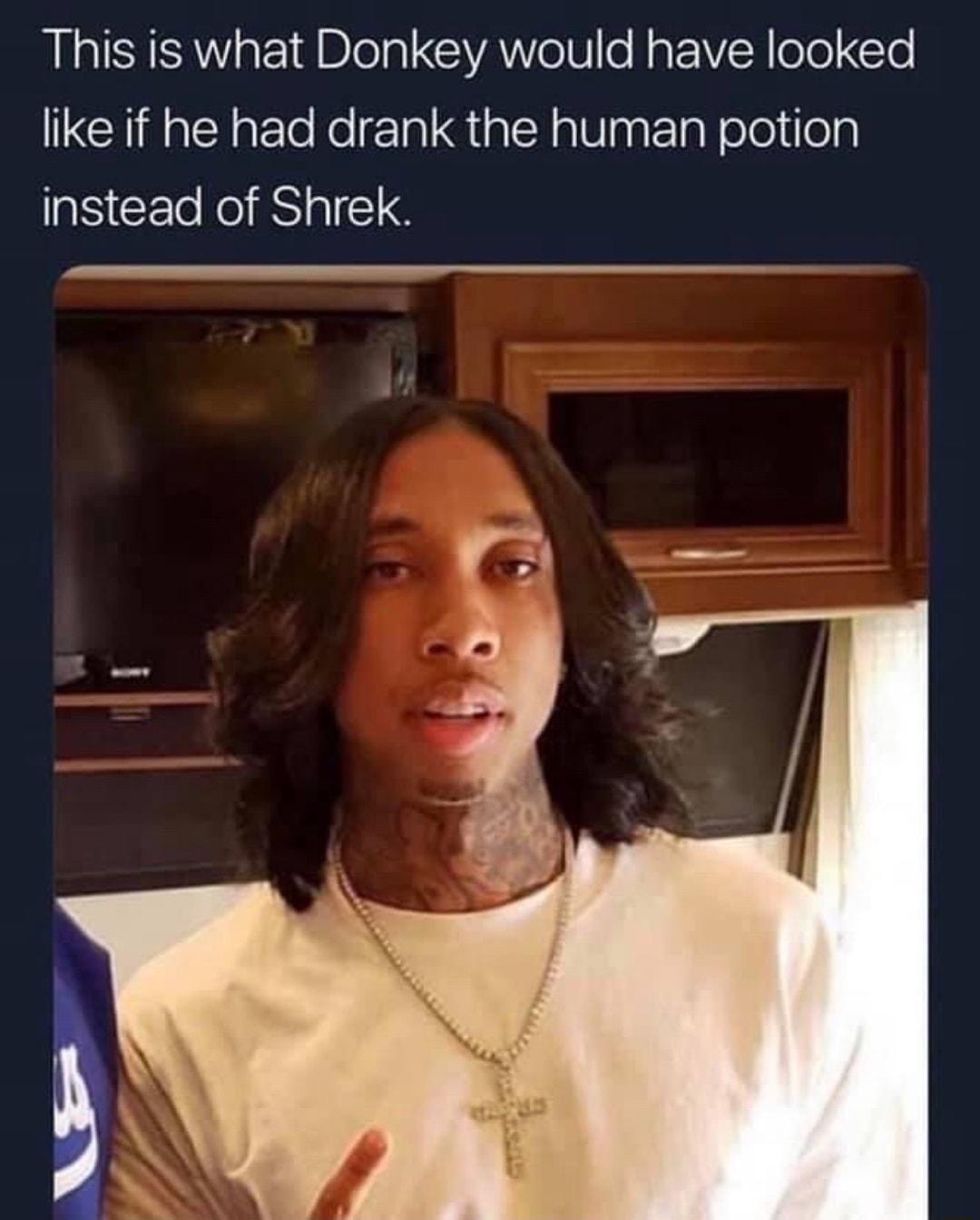 This is what Donkey would have looked NNl lo Ko rlal G talA a8 aat TaN olo 1 eg instead of Shrek