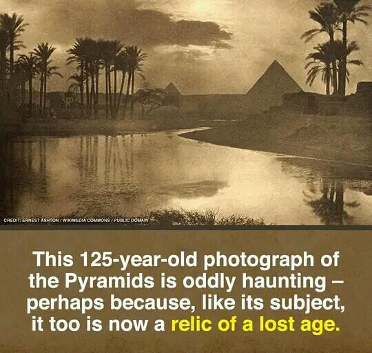 This 125 year old photograph of the Pyramids is oddly haunting perhaps because like rts subect 8 CTNER LN e