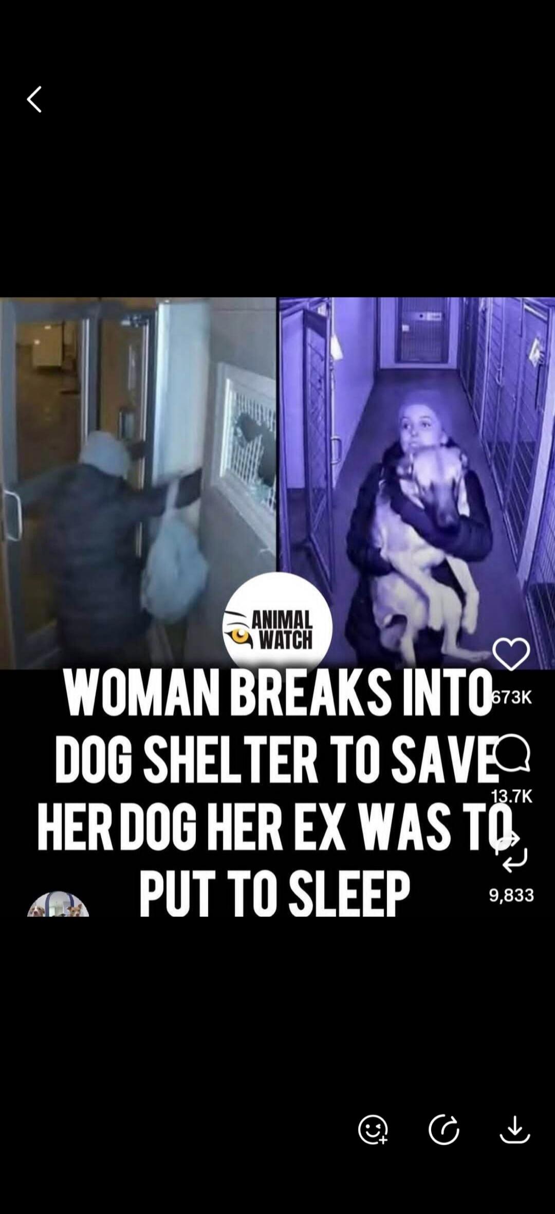 ANIMAL WATCH WOMAN BREAKS INTO DOG SHELTER TO SAVE HER DOG HER EX WAS TO PUT TO SLEEP